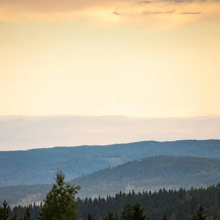 Langroesta; Ruime Blokhut Grenzend Aan Bos Vila Hagfors Exterior foto
