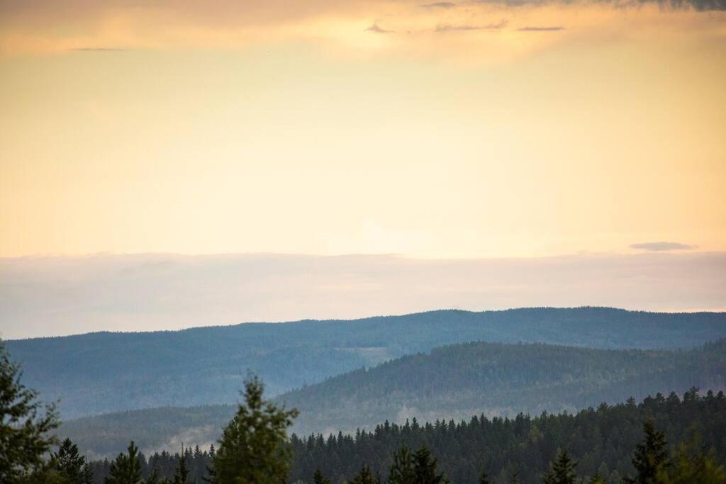 Langroesta; Ruime Blokhut Grenzend Aan Bos Vila Hagfors Exterior foto