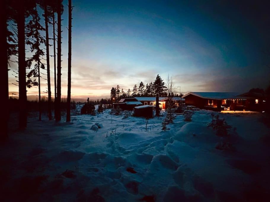 Langroesta; Ruime Blokhut Grenzend Aan Bos Vila Hagfors Exterior foto